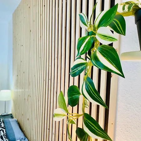 Apartamento B&l Santa Cruz de Tenerife