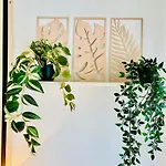 Apartman B&l