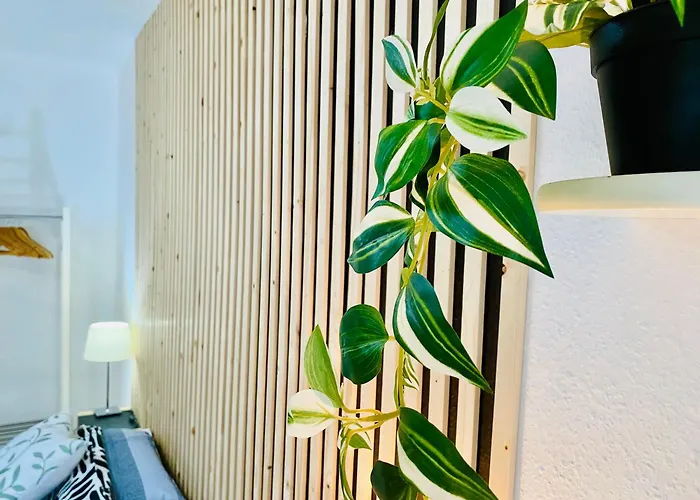 Apartman B&l Santa Cruz de Tenerife